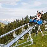 Apartmán Wildauer *