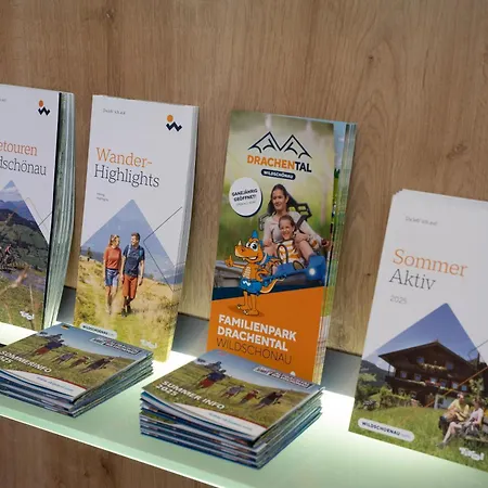 Wildauer Апартаменты Вильдшёнау